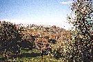 Montalcino - foto 85K